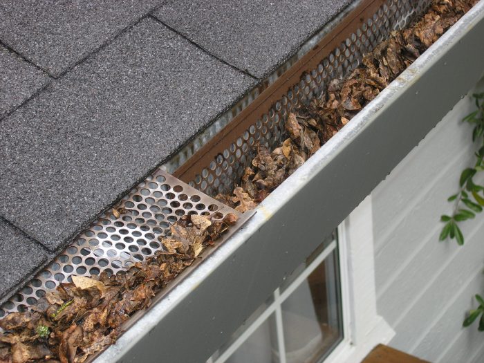 A gutter filled with brown leaves